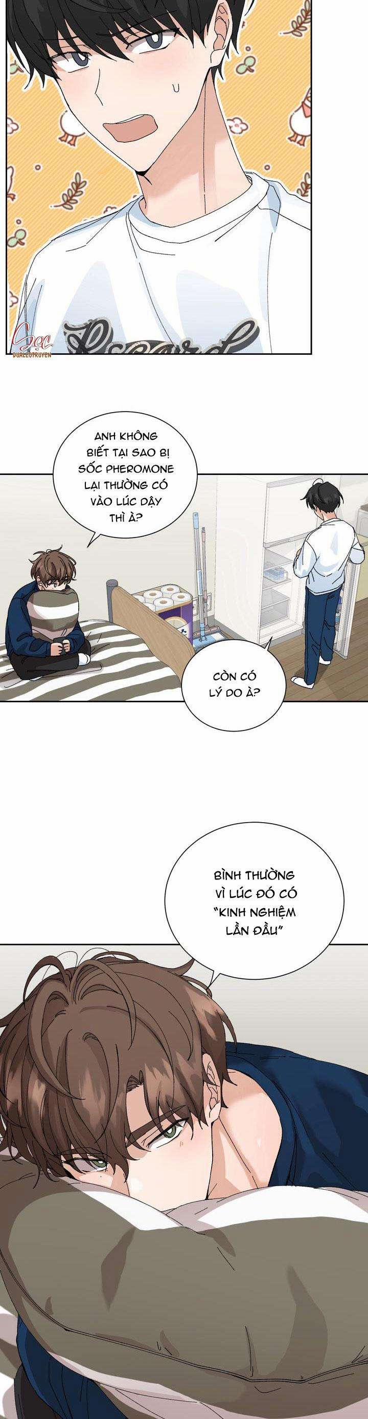 ĐẶC QUYỀN CHO CẶP ĐÔI MỚI CƯỚI 10 trang 4