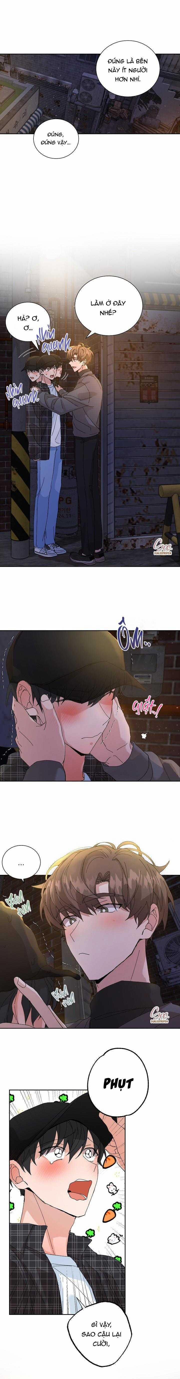 ĐẶC QUYỀN CHO CẶP ĐÔI MỚI CƯỚI 14 trang 1