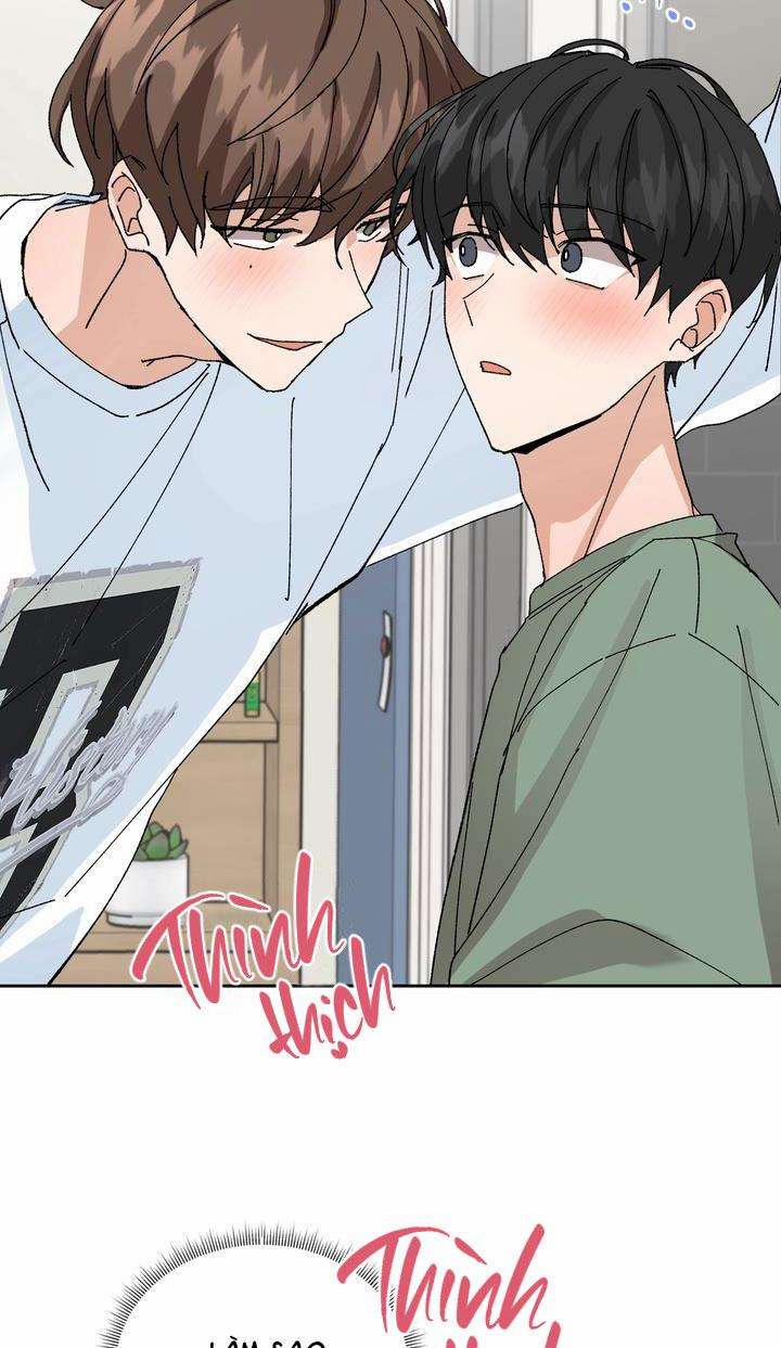 ĐẶC QUYỀN CHO CẶP ĐÔI MỚI CƯỚI 8 trang 17