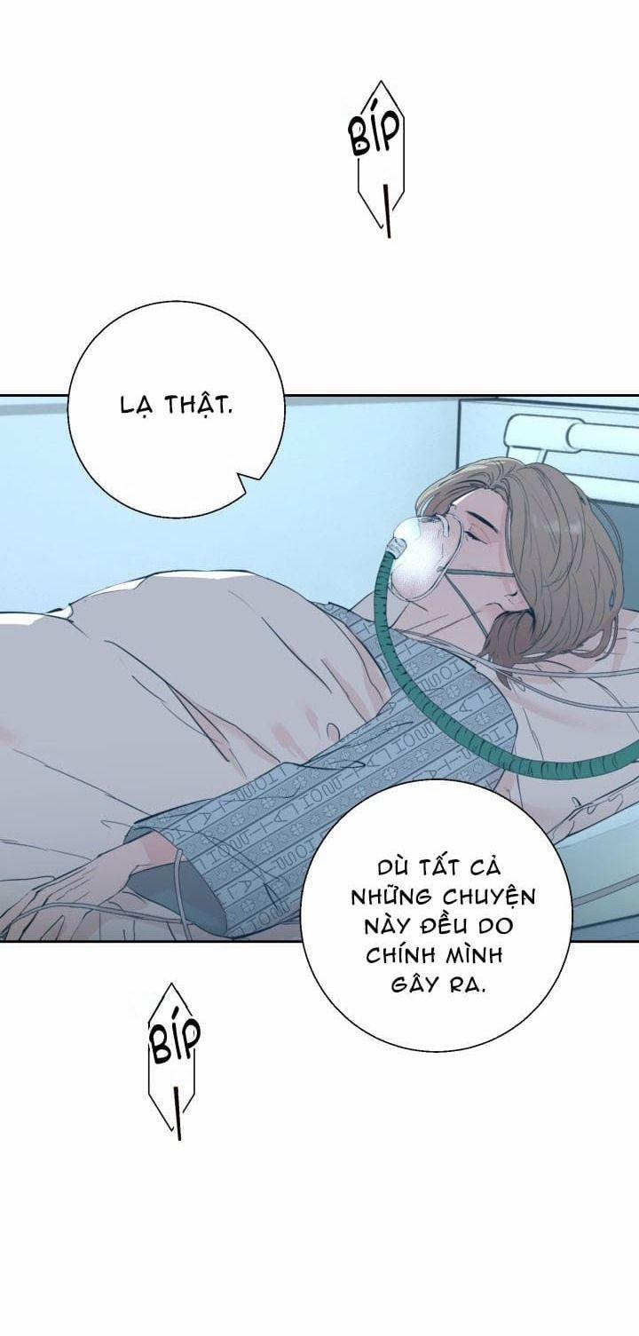 Daddy X Của Tôi 13 trang 43