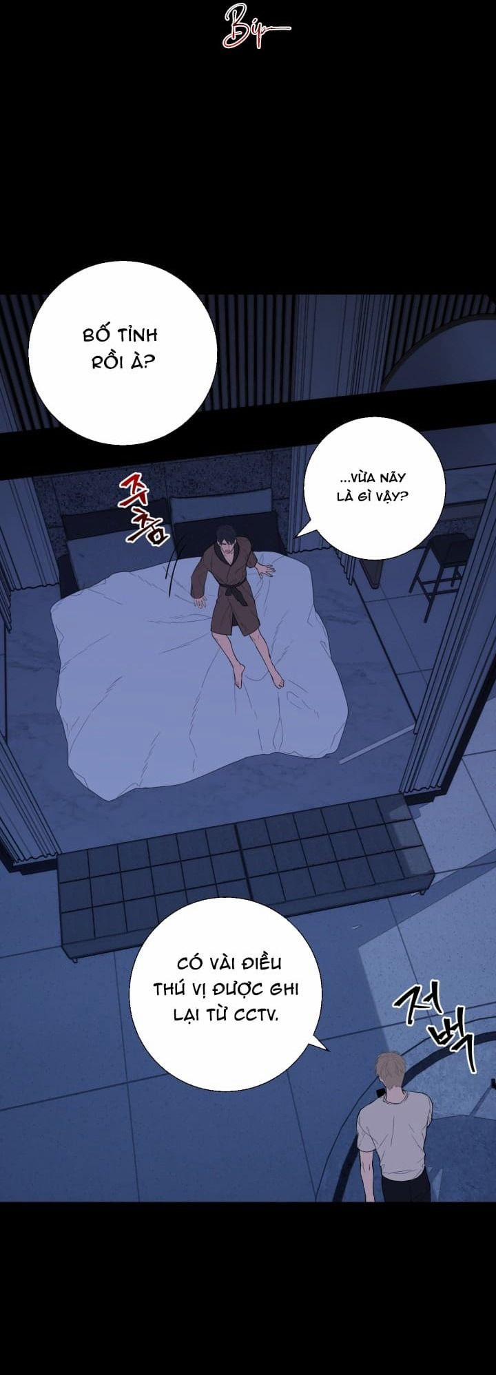 Daddy X Của Tôi 15 trang 11