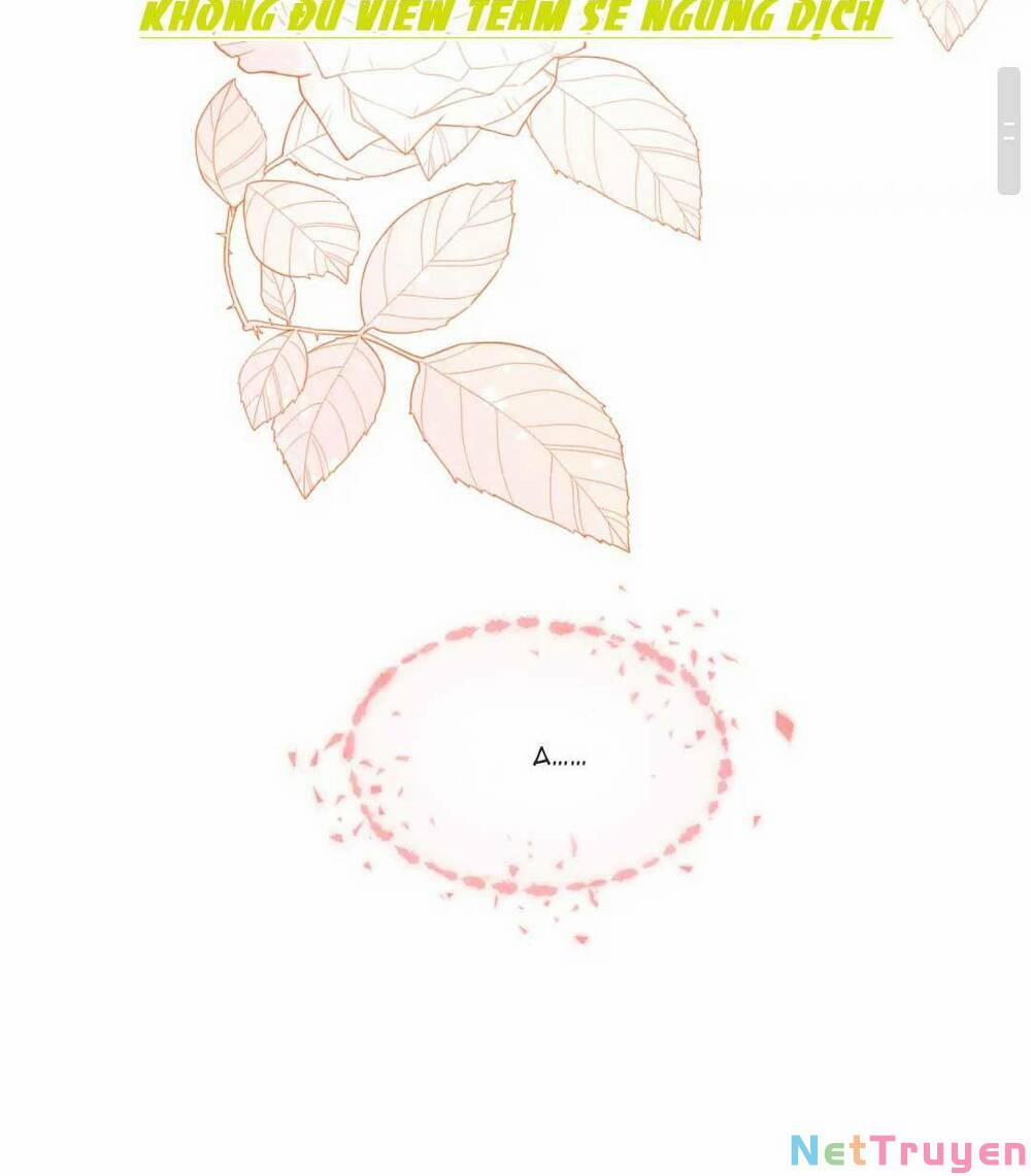 Đại Boss Cao Lãnh Lúc Nào Cũng Quấn Lấy Tôi 2 trang 35