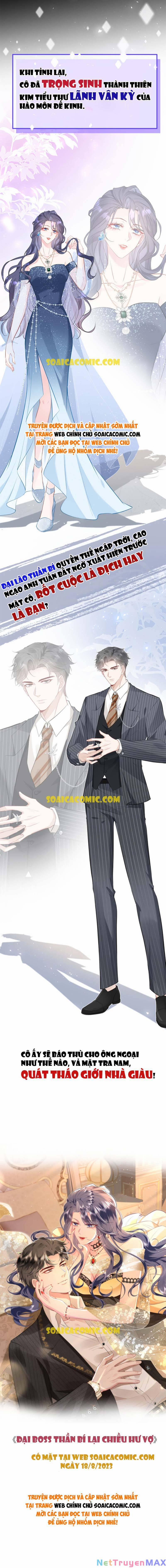 Đại Boss Thần Bí Lại Chiều Hư Vợ 1 trang 1
