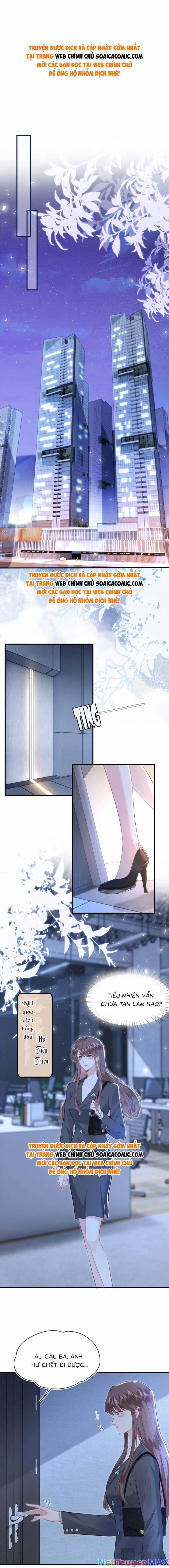 Đại Boss Thần Bí Lại Chiều Hư Vợ 2 trang 0