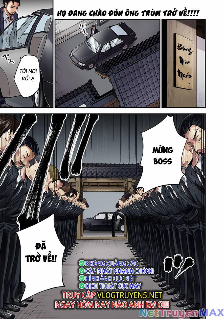 Đại Ca Băng Mèo Mướp 1 trang 1