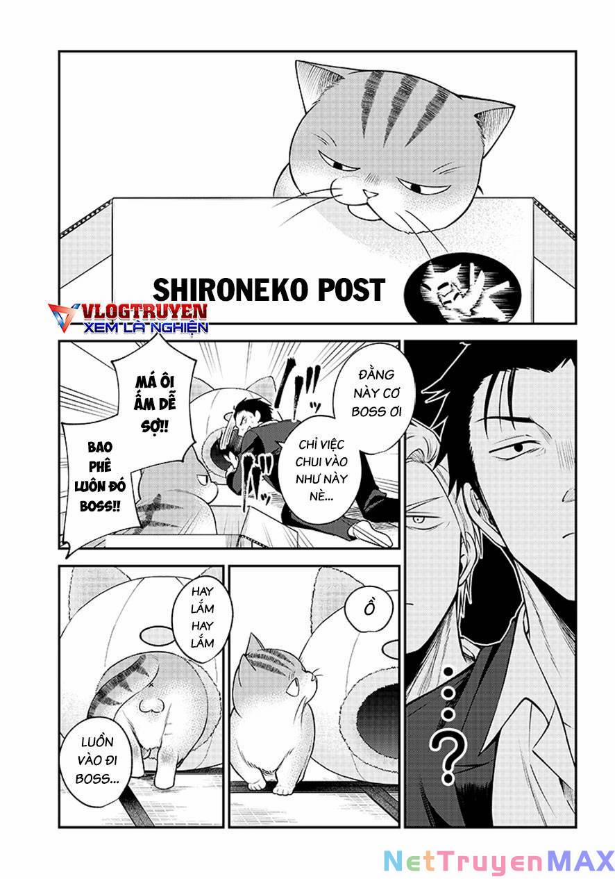 Đại Ca Băng Mèo Mướp 1 trang 12