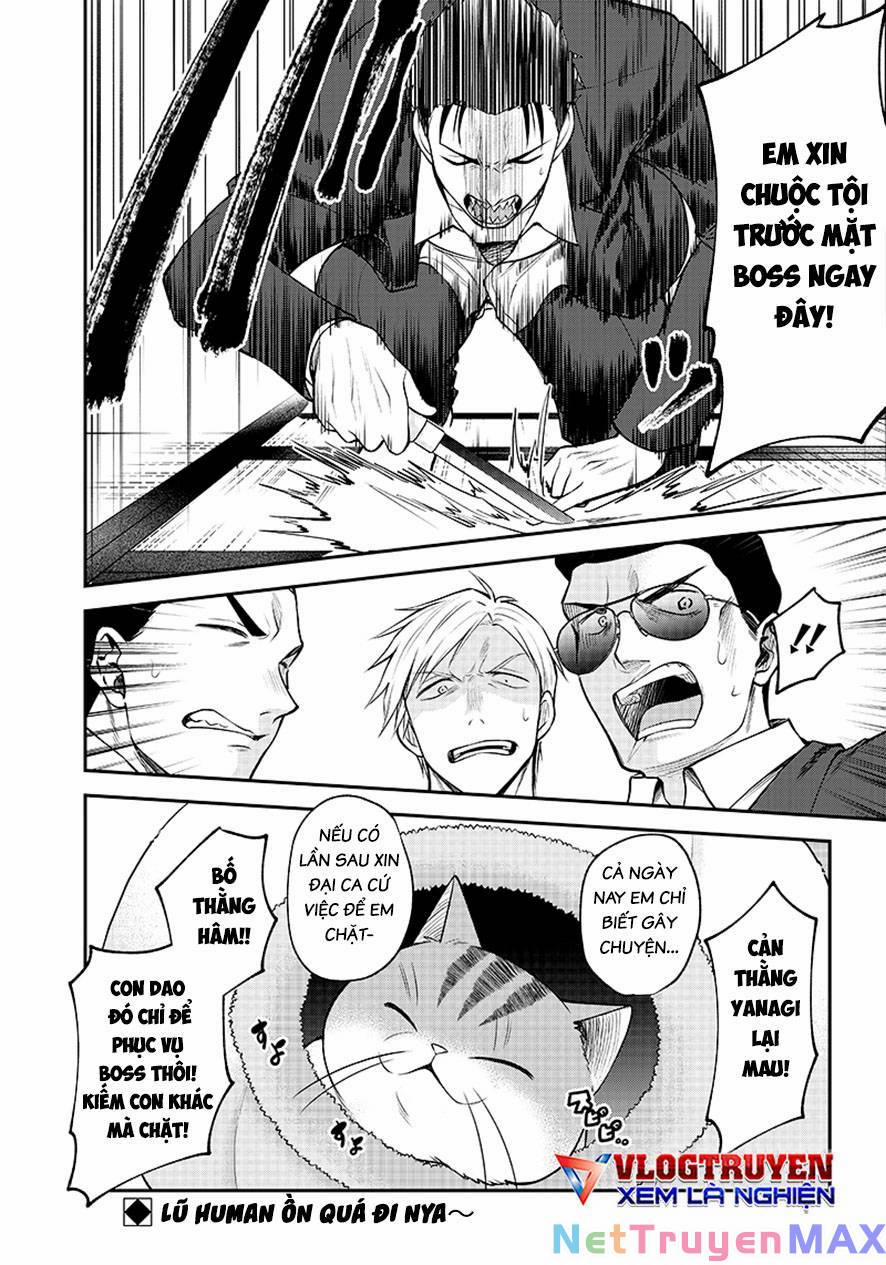 Đại Ca Băng Mèo Mướp 1 trang 19