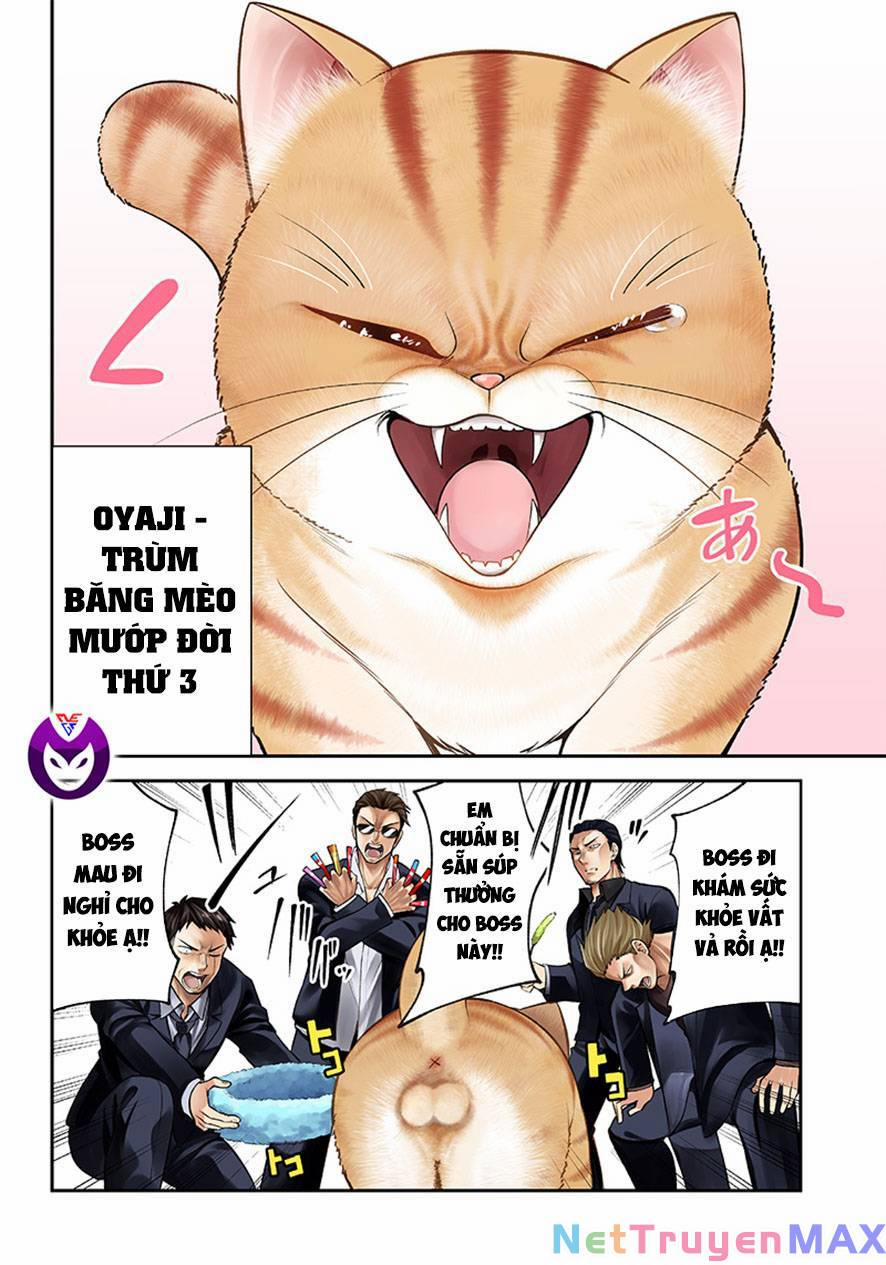 Đại Ca Băng Mèo Mướp 1 trang 2