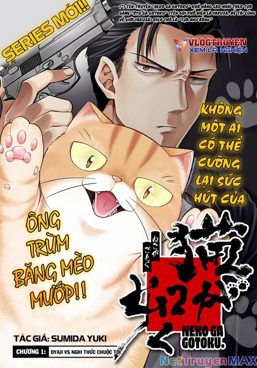 Đại Ca Băng Mèo Mướp 1 trang 3