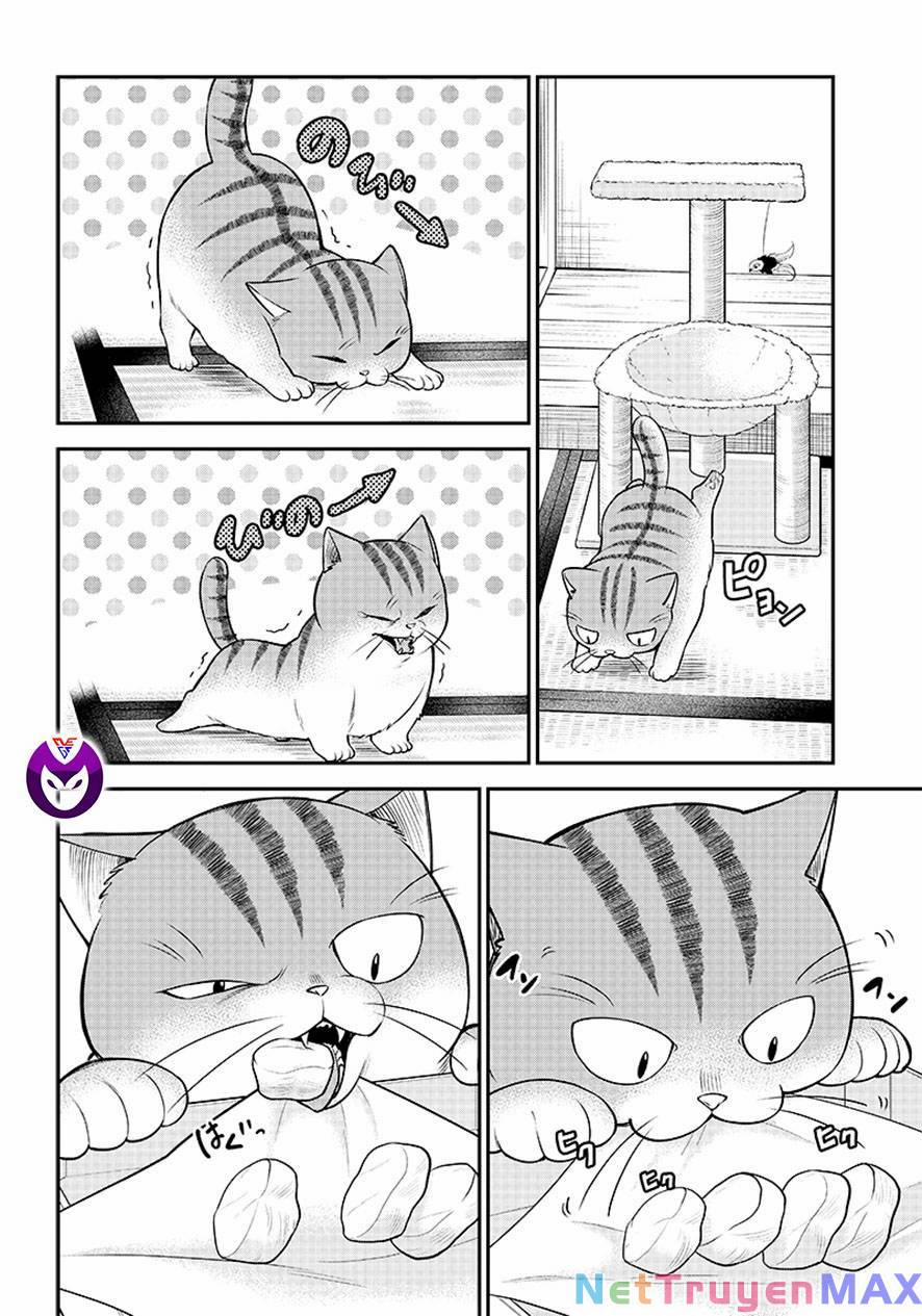 Đại Ca Băng Mèo Mướp 1 trang 9