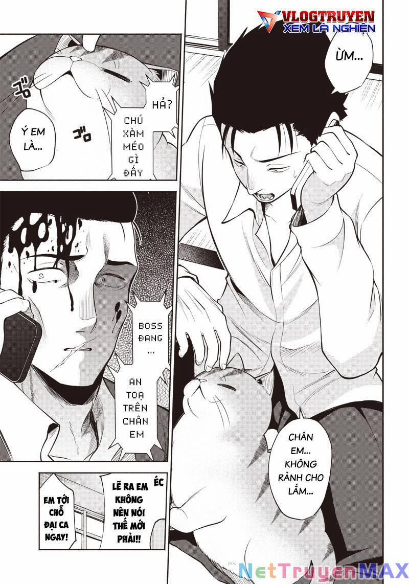 Đại Ca Băng Mèo Mướp 2 trang 3