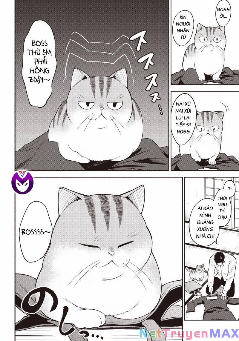 Đại Ca Băng Mèo Mướp 2 trang 9