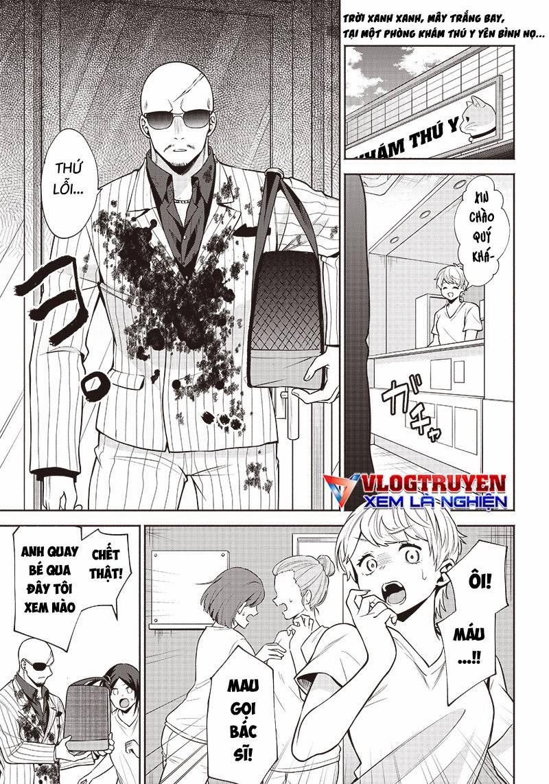 Đại Ca Băng Mèo Mướp 3 trang 1