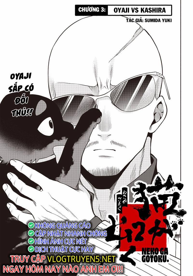 Đại Ca Băng Mèo Mướp 3 trang 3