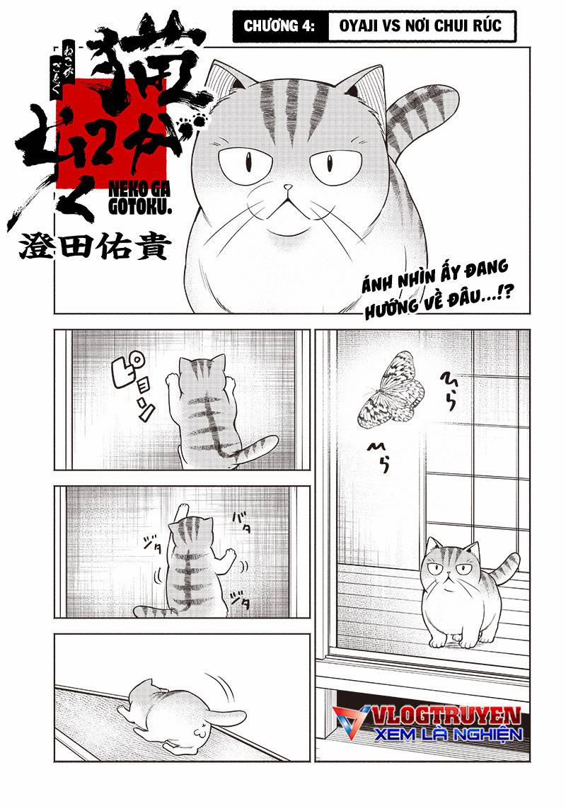 Đại Ca Băng Mèo Mướp 4 trang 1