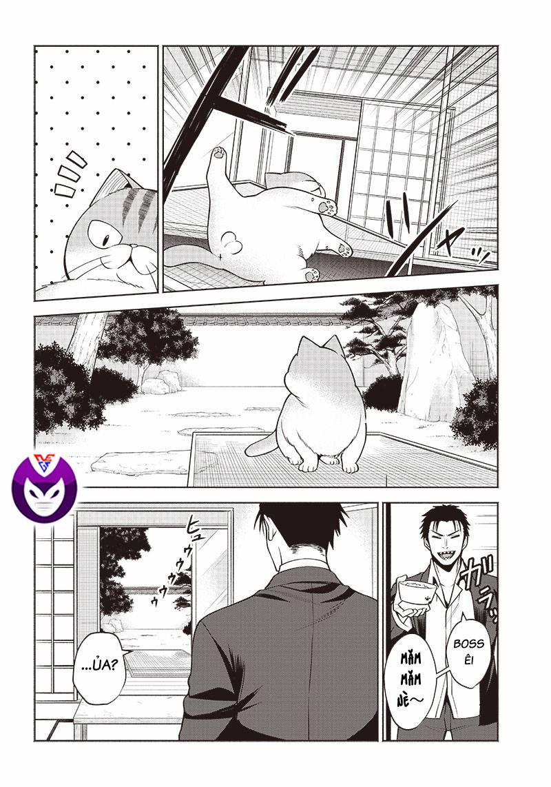 Đại Ca Băng Mèo Mướp 4 trang 2