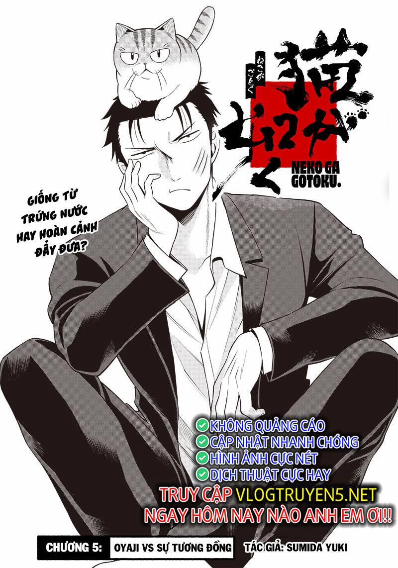 Đại Ca Băng Mèo Mướp 5 trang 1