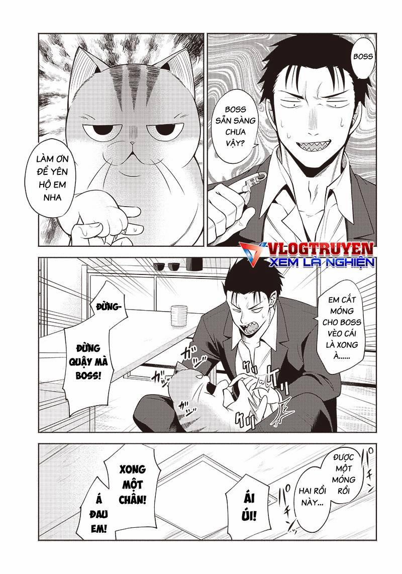 Đại Ca Băng Mèo Mướp 5 trang 8