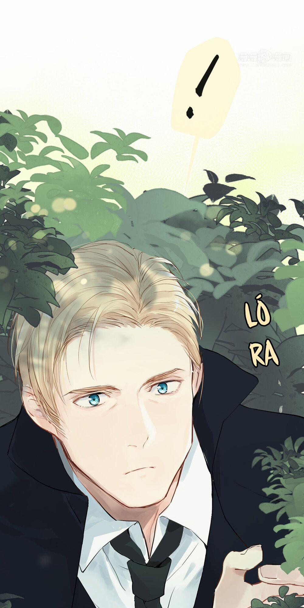 Đại Chiến Công Chúa 17 trang 41