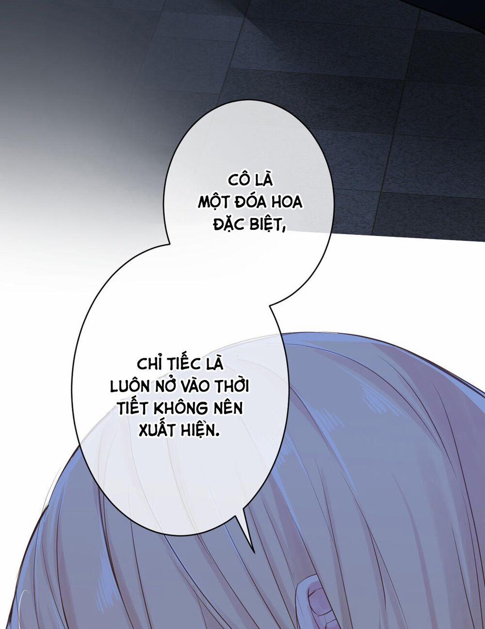 Đại Chiến Công Chúa 19 trang 32