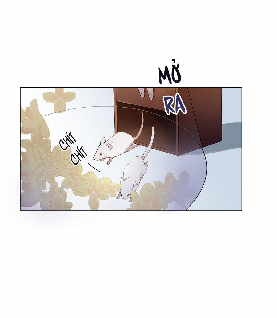 Đại Chiến Công Chúa 40 trang 13