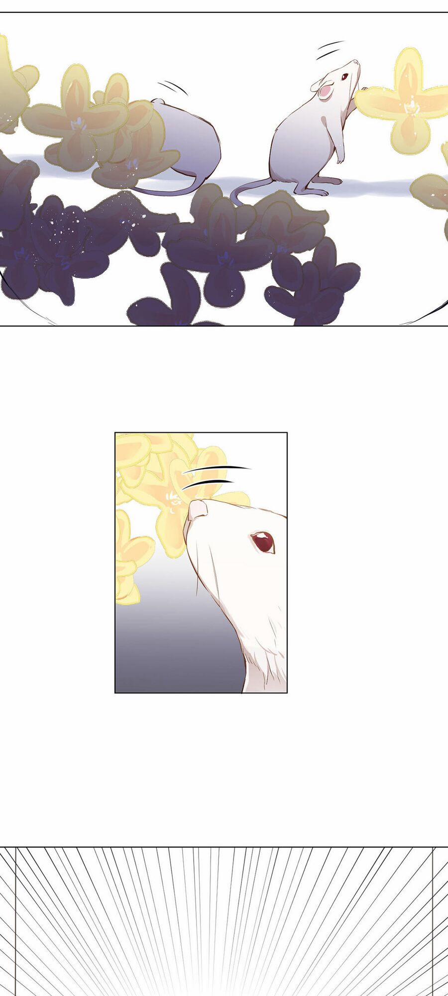 Đại Chiến Công Chúa 40 trang 14