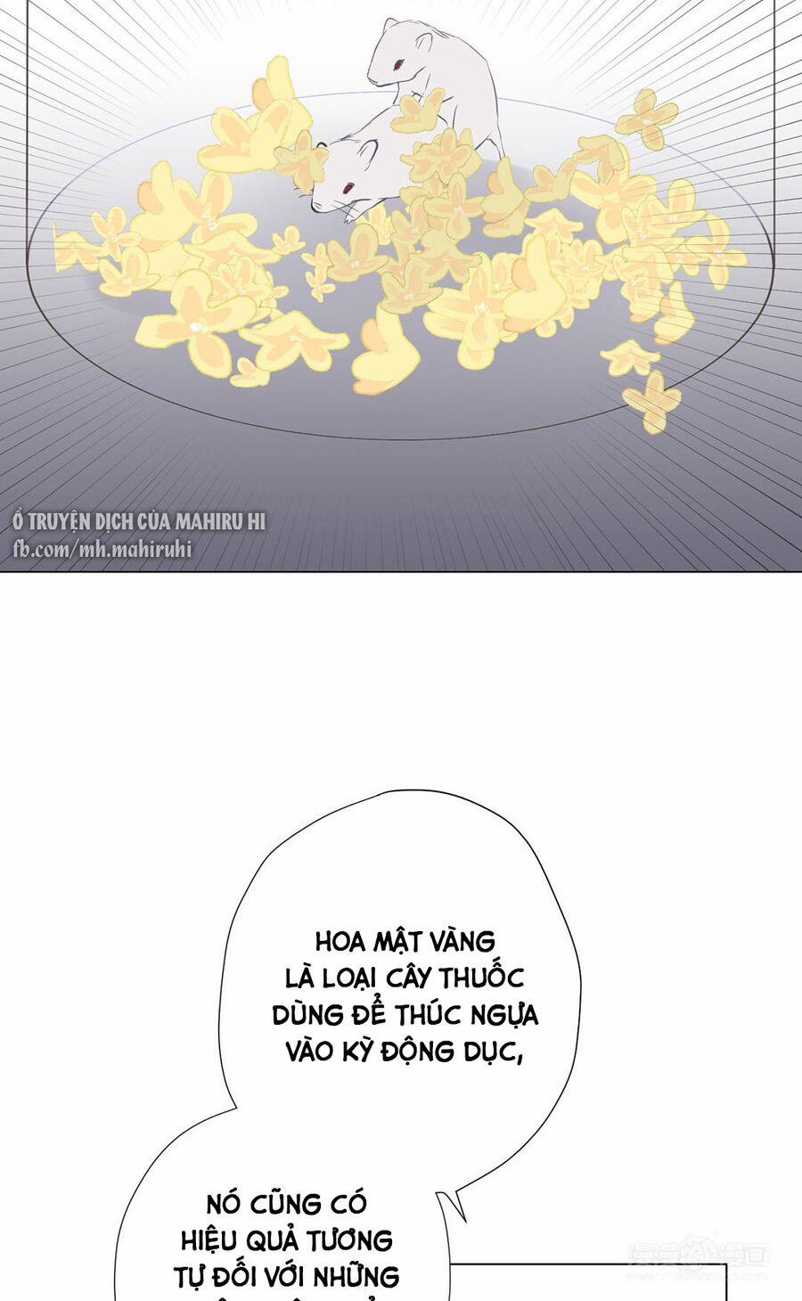 Đại Chiến Công Chúa 40 trang 15