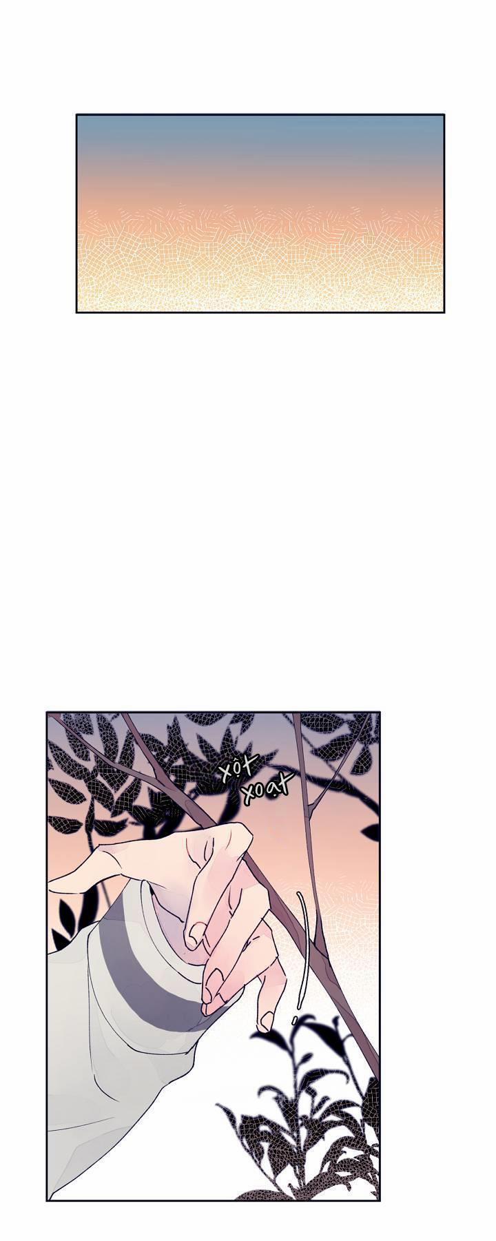 Đại Cương Hôn Nhân Học 11 trang 0