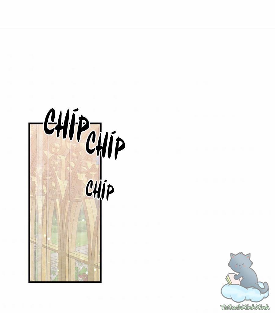 Đại Dương Kiêu Sa 11 trang 0