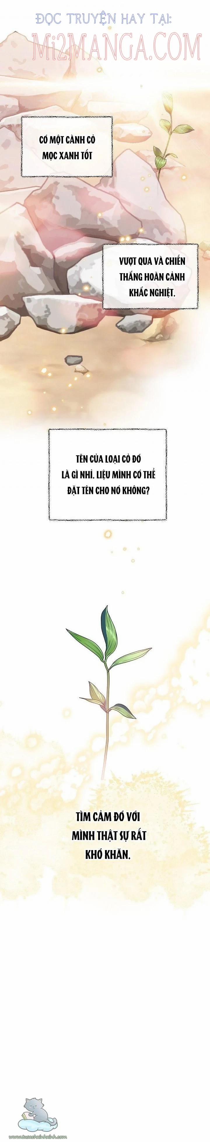 Đại Dương Kiêu Sa 38.5 trang 11