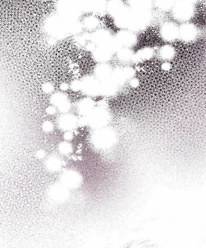 Đại Dương Kiêu Sa 41.1 trang 5