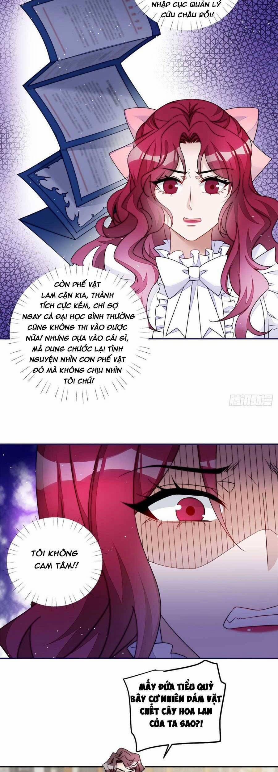 Đại Lão Nào Cũng Tranh Sủng Ta 115 trang 2