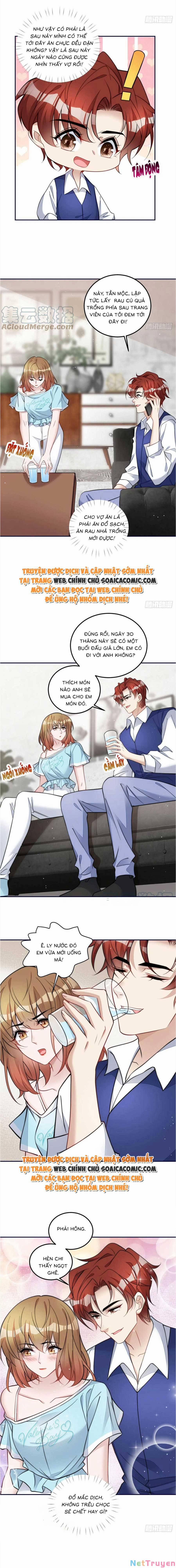 Đại Lão Nào Cũng Tranh Sủng Ta 141 trang 1