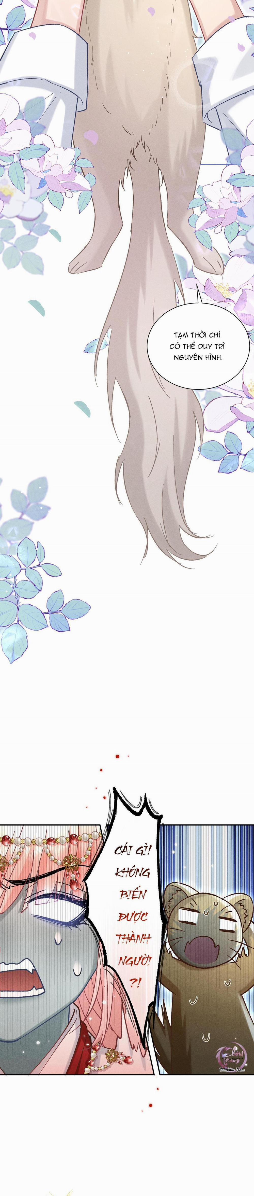 Đại Tiên 15 trang 14