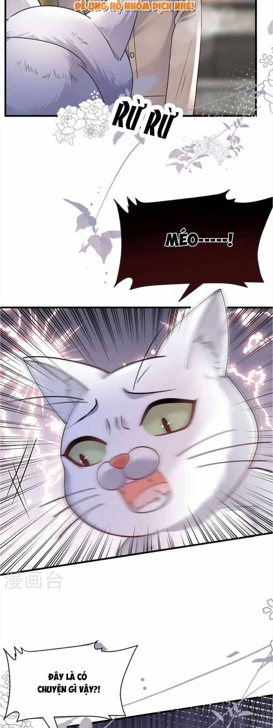 Đại Tiểu Thư Có Thể Có Ý Đồ Gì Đó 176 trang 23