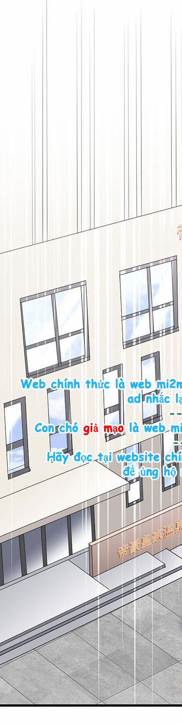 Đại Tiểu Thư Có Thể Có Ý Đồ Gì Đó 40.2 trang 6