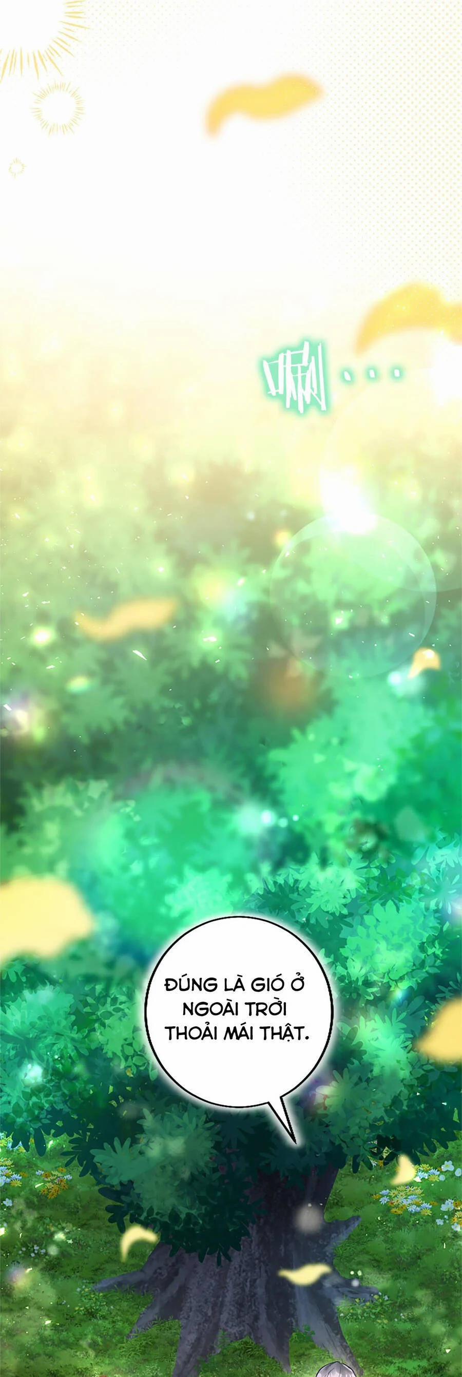 Đại Tiểu Thư Sao Phải Giả Nam 105 trang 34