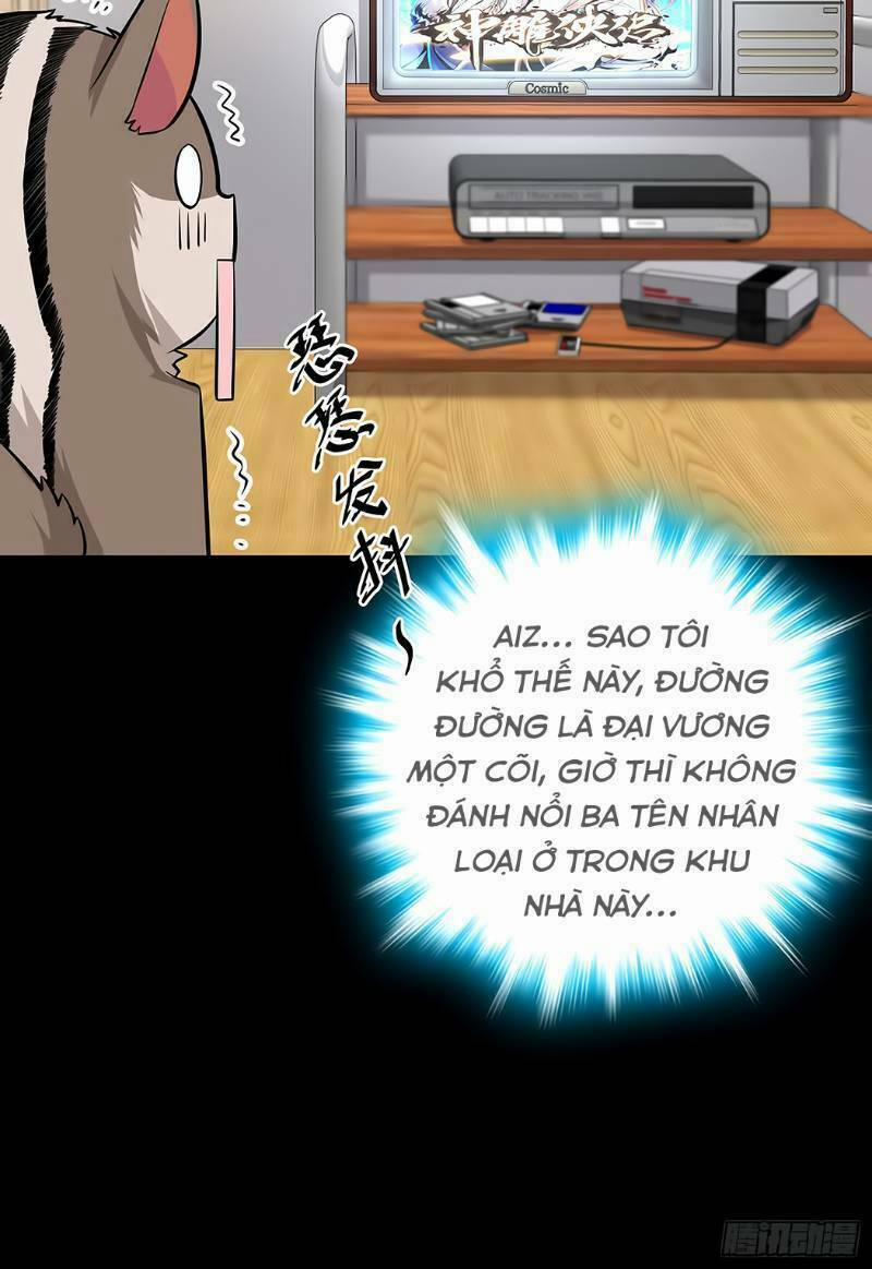 Đại Vương Tha Mạng 51 trang 52