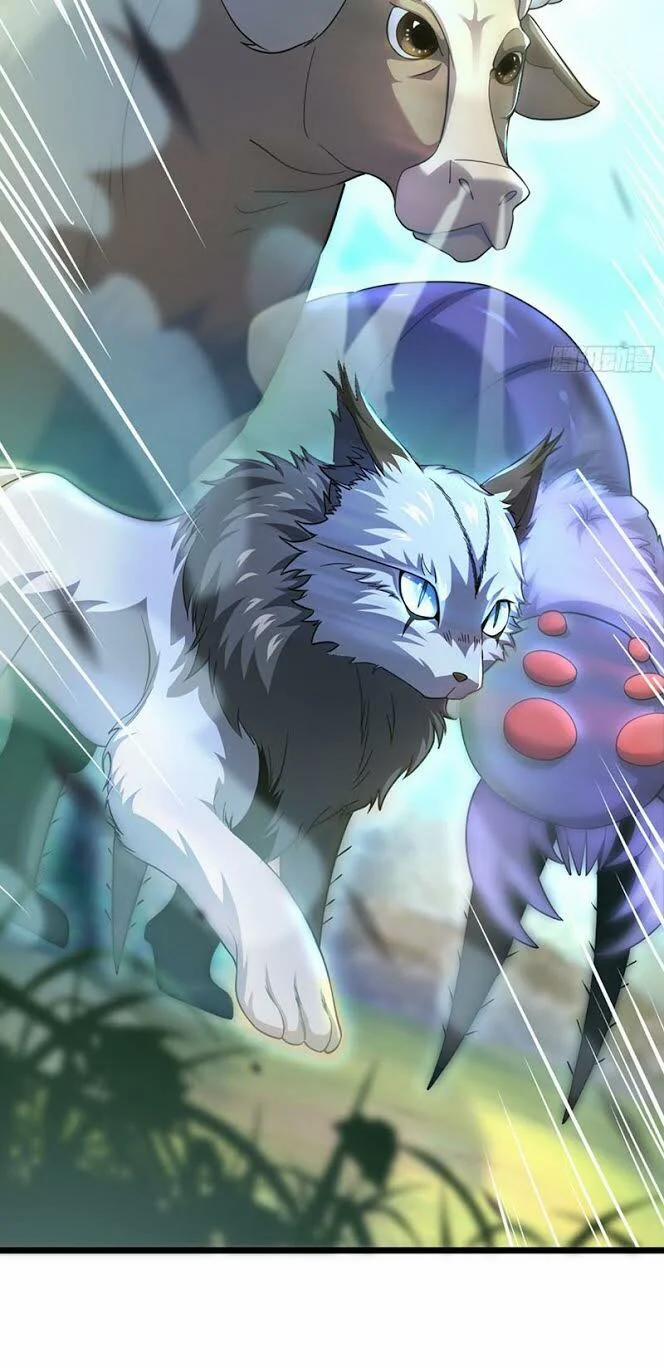 Đại Vương Tha Mạng 79 trang 13