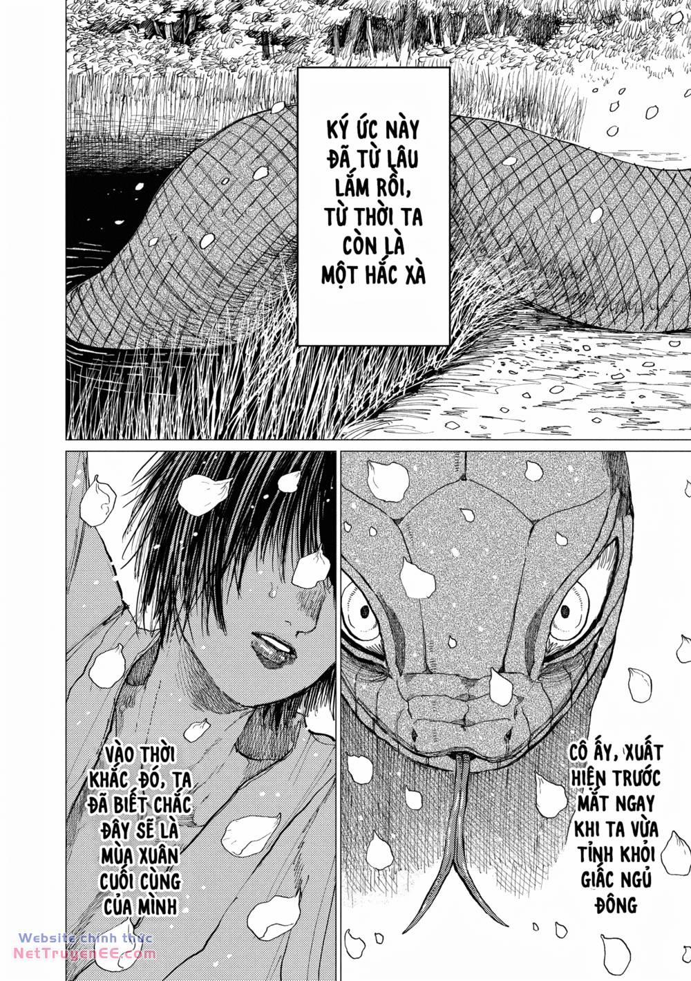 Đại Xà Phu Nhân 14 trang 7