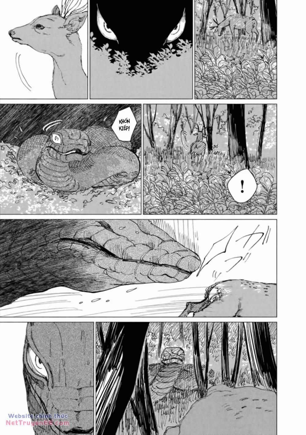 Đại Xà Phu Nhân 15 trang 7