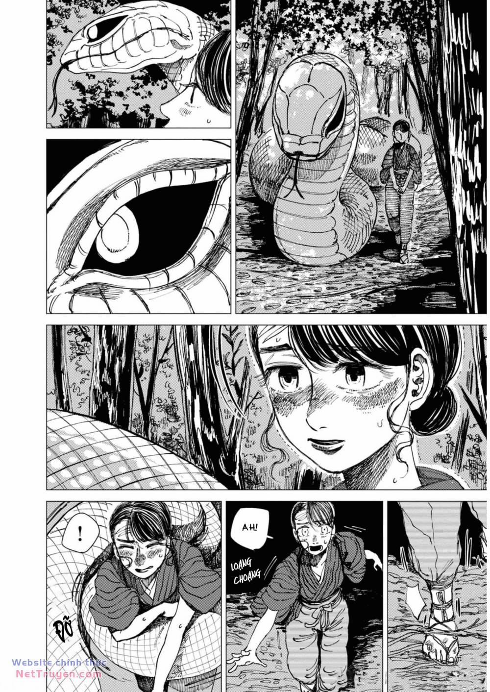 Đại Xà Phu Nhân 16 trang 11