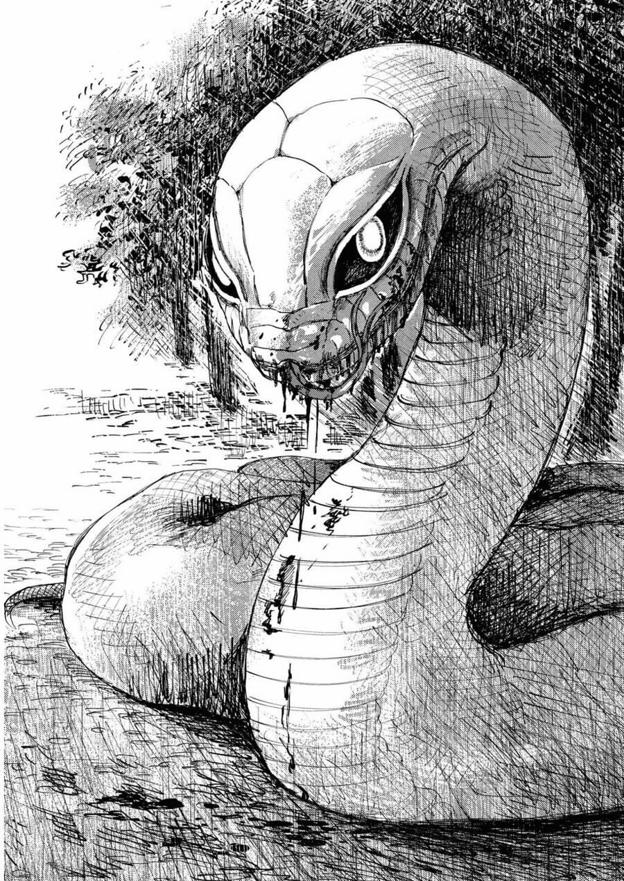 Đại Xà Phu Nhân 18 trang 34