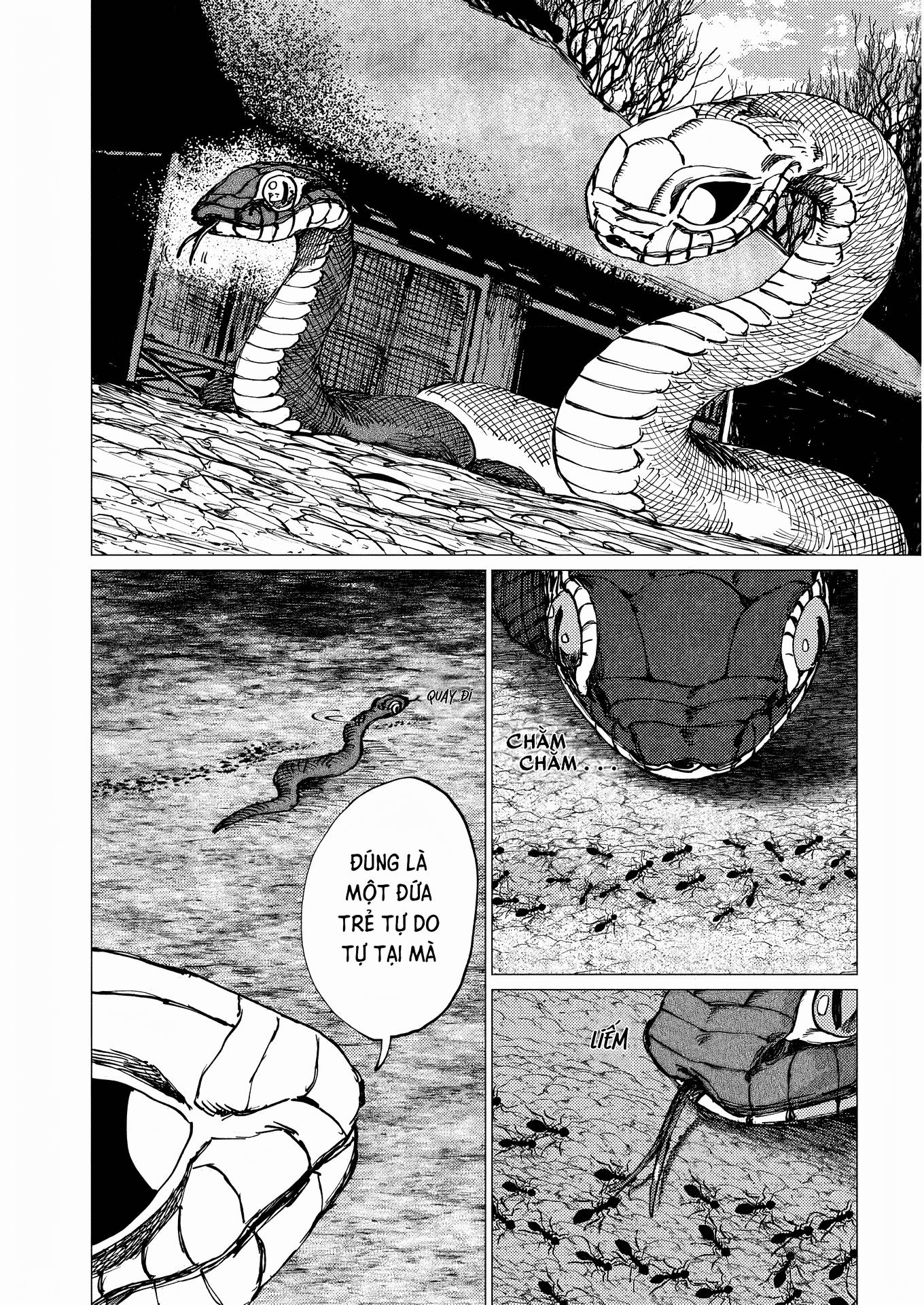 Đại Xà Phu Nhân 22 trang 9