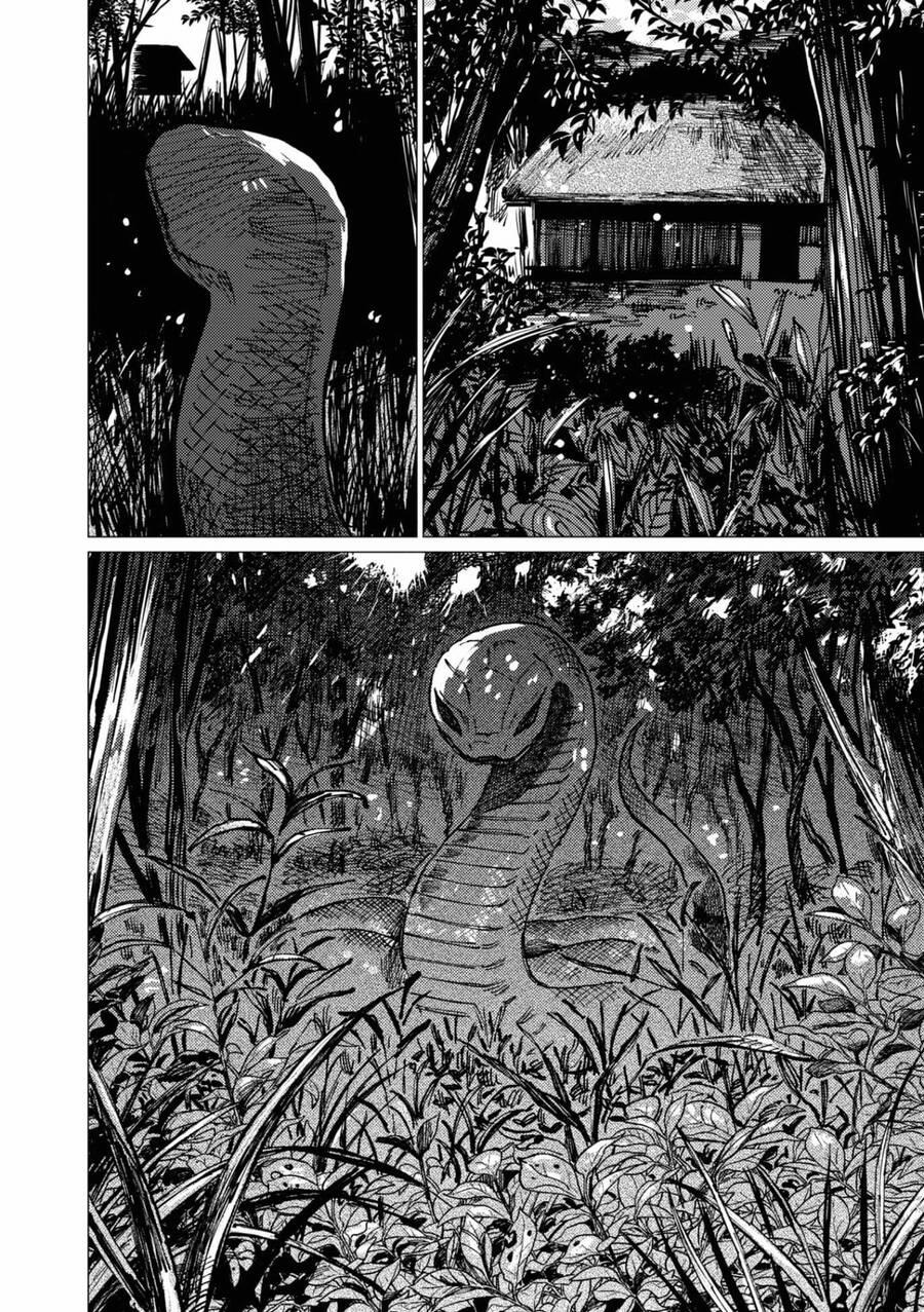 Đại Xà Phu Nhân 9 trang 9