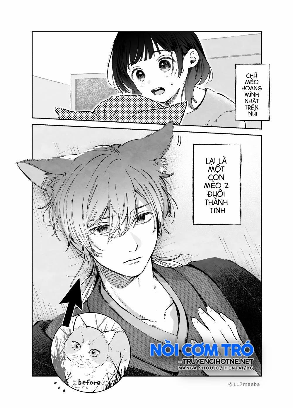 Dăm Ba Cái Oneshot Shoujo 13 trang 0