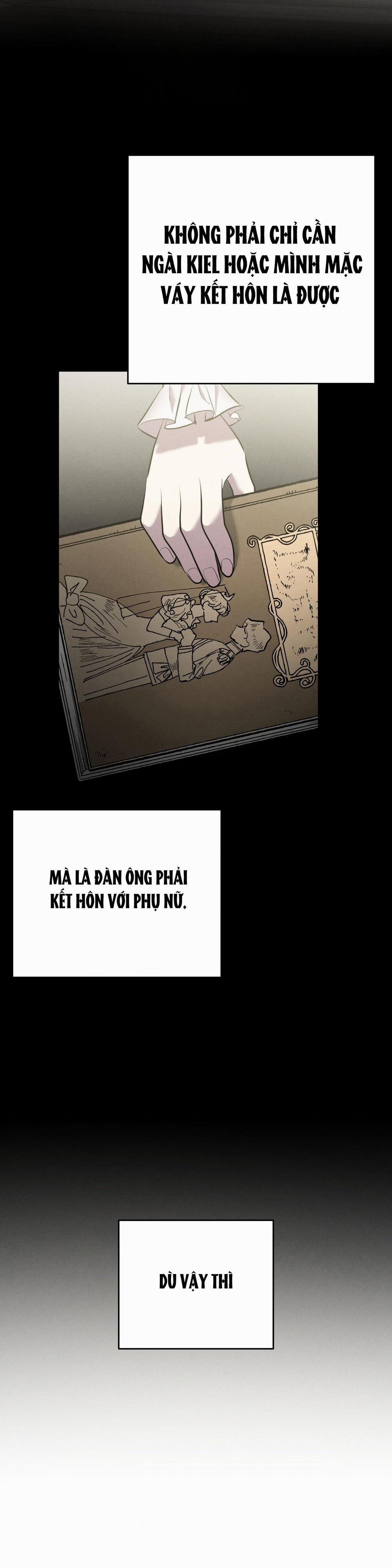 ĐÁM CƯỚI TAI TIẾNG 21 trang 11