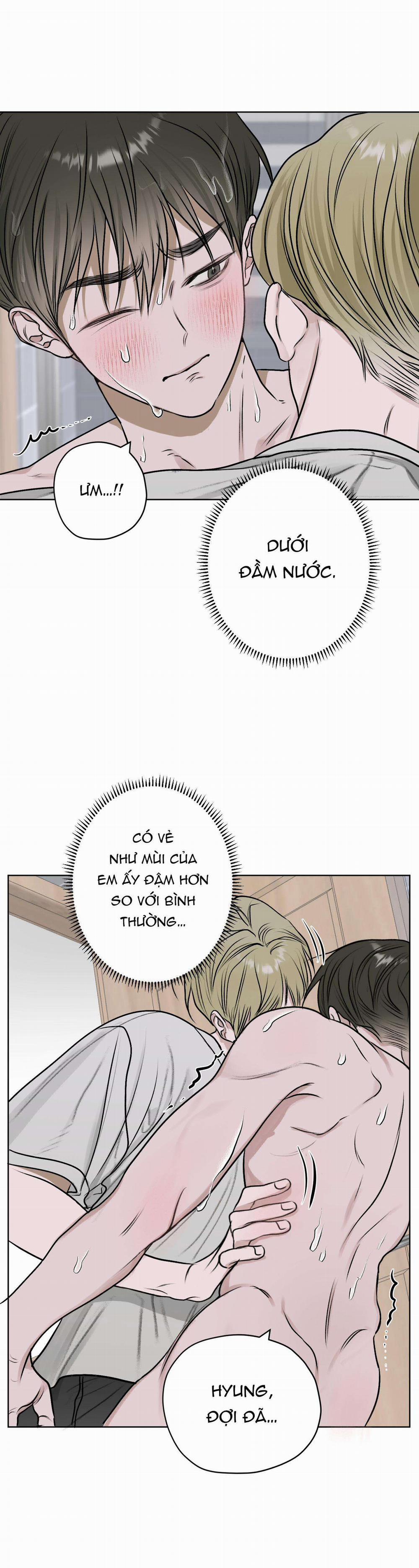 Đầm Hoa Sen 12 trang 19