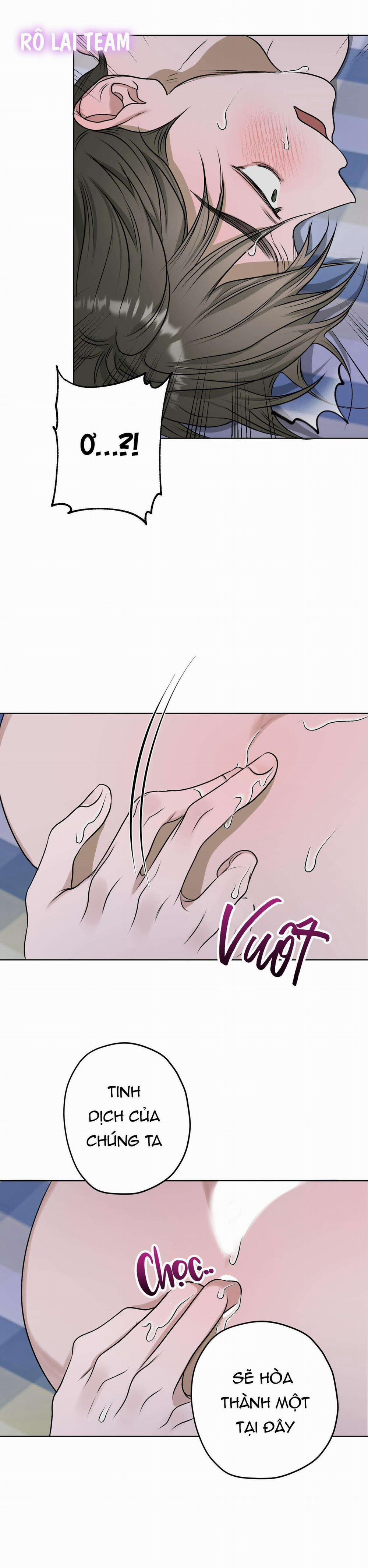 Đầm Hoa Sen 14 trang 14