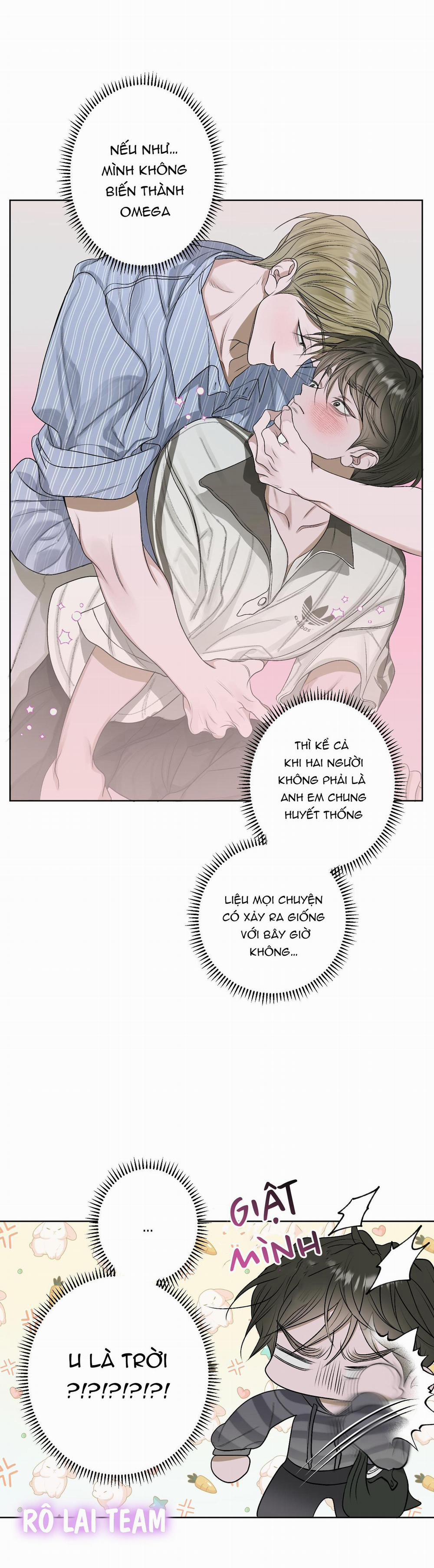 Đầm Hoa Sen 21 trang 19